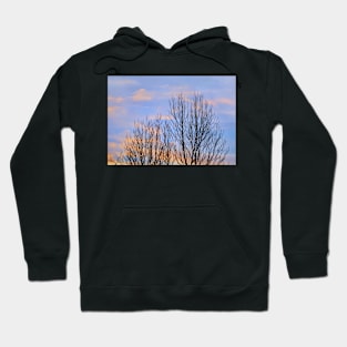 an April evening... Hoodie